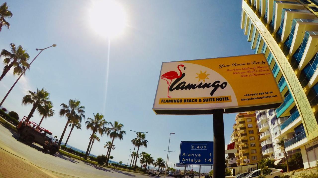 Flamingo Beach & Suite มาห์มุตลาร์ ภายนอก รูปภาพ